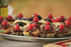 Assorted cupcakes